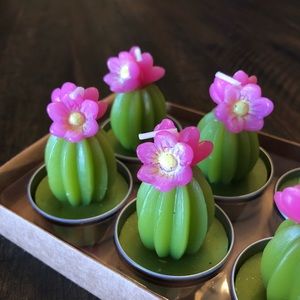 4 piece Cactus Tea Light Candles